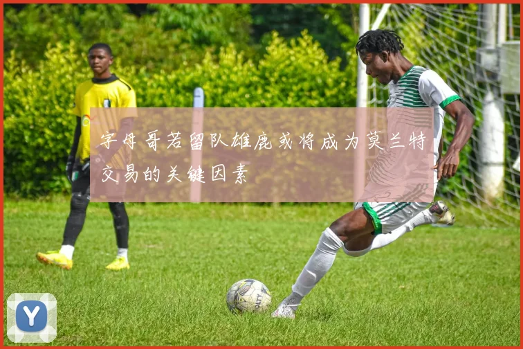 字母哥若留队雄鹿或将成为莫兰特交易的关键因素
